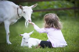 Animali e bambini