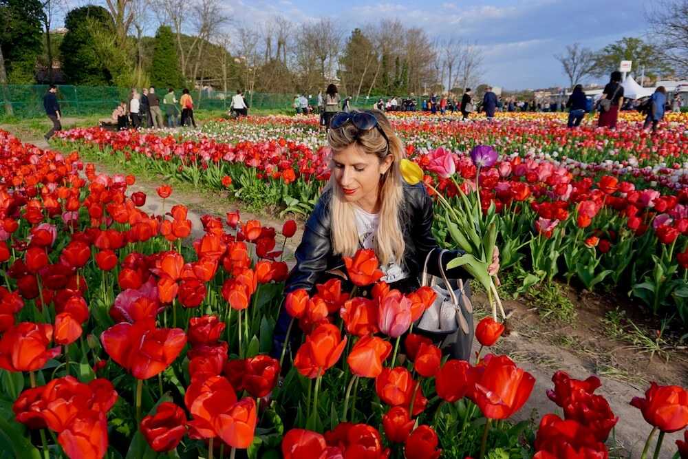 Il Parco dei Tulipani a Roma